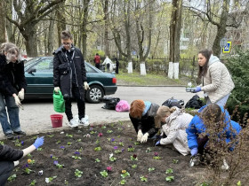 "Зелёный патруль»: как будущие медики позаботились о планете.